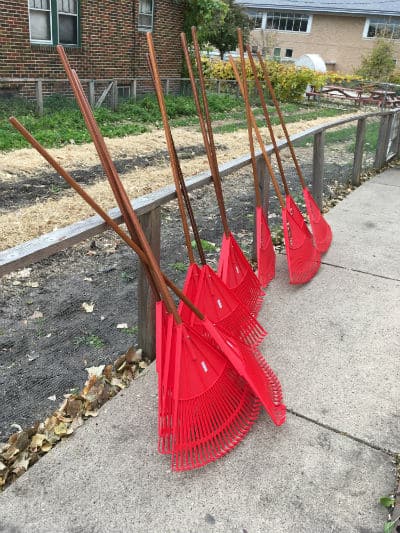 12 red rakes leaving against a fence