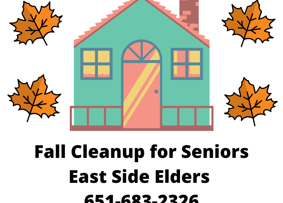 Fall Cleanup for Seniors