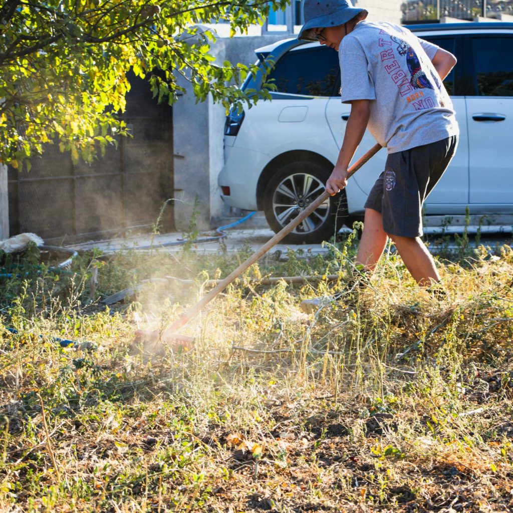 Raking leaves for seniors in East Saint Paul, MN